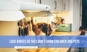 Lock knives so they don’t harm children and pets.