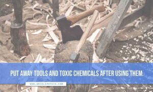 Put away tools and toxic chemicals after using them.