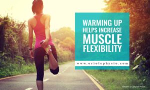 Warming up helps increase muscle flexibility
