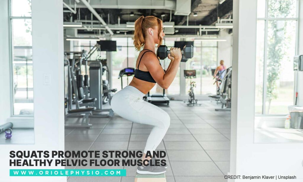 Squats promote strong and healthy pelvic floor muscles